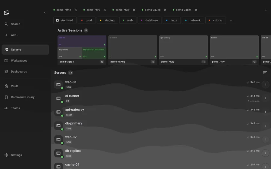 Server list in four groups with tags, protocol badges and two live session cards (desktop)