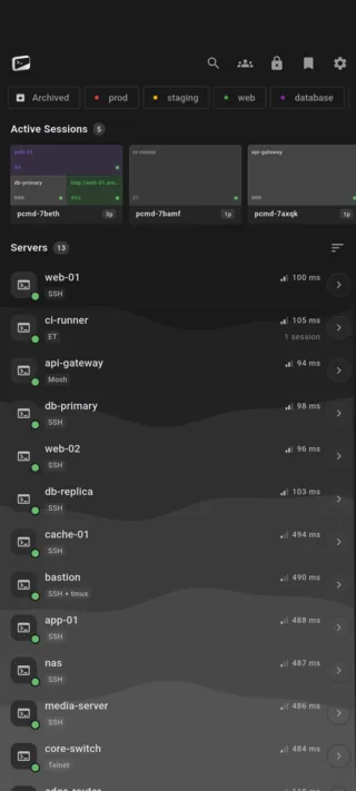Server list in four groups with tags, protocol badges and two live session cards (phone)